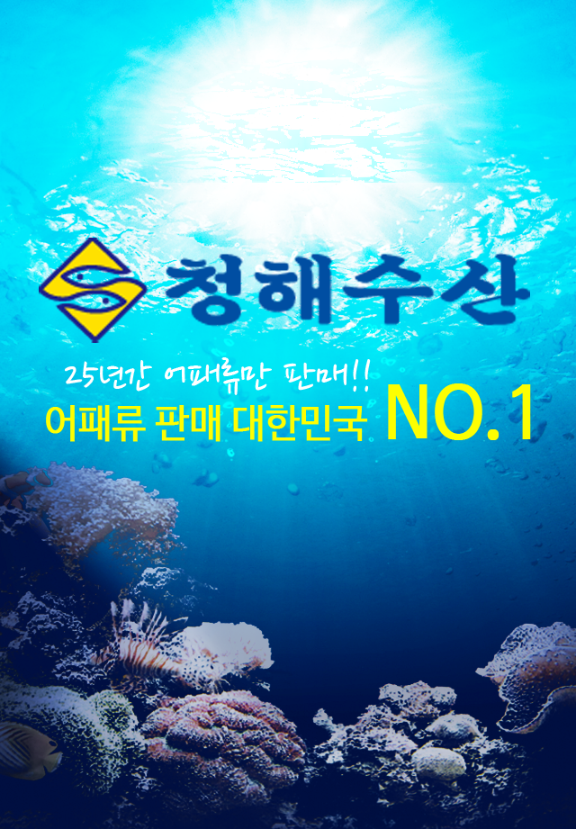 메인사진